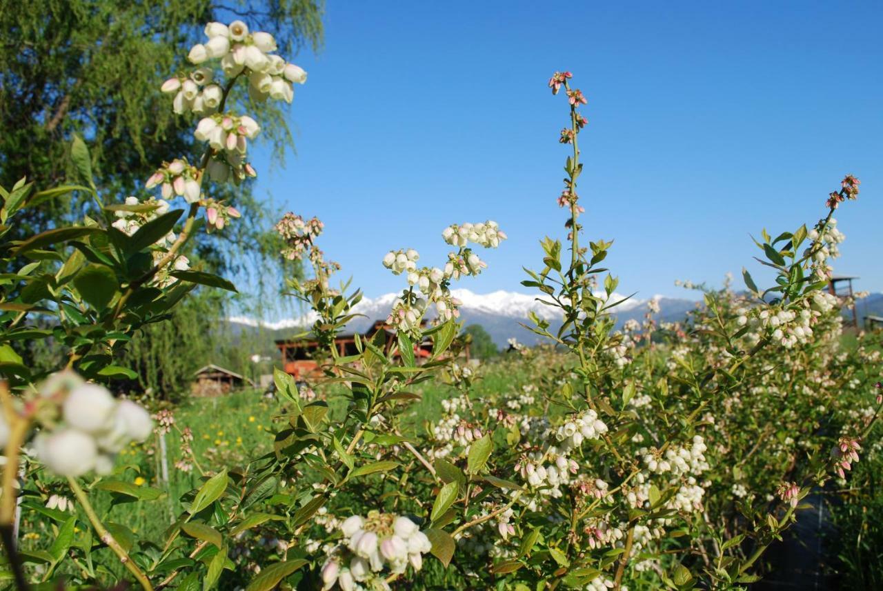 Agriturismo Il Frutto Permesso Bibiana Εξωτερικό φωτογραφία